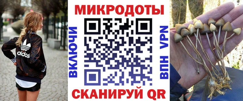Псилоцибиновые грибы ЛСД хочу Славгород