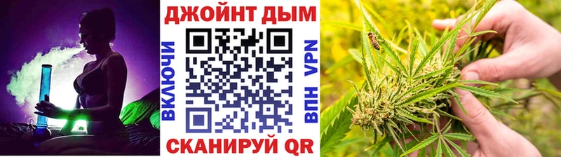 где найти   Славгород  МАРИХУАНА Amnesia 